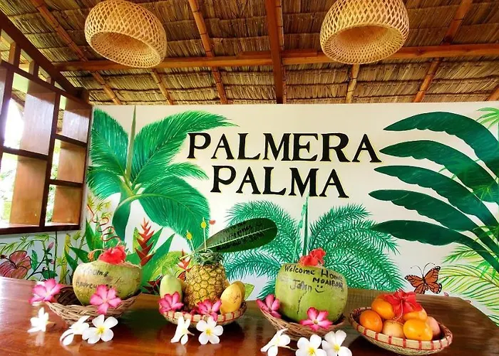 Palmera Palma Floor Guest house