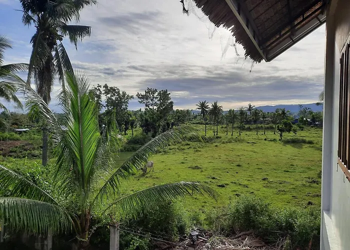 Guest house Palmera Palma Floor