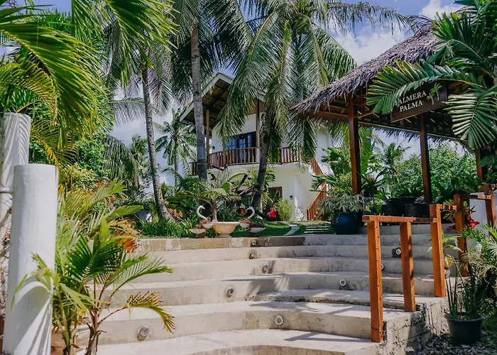 Palmera Palma Floor Guest house